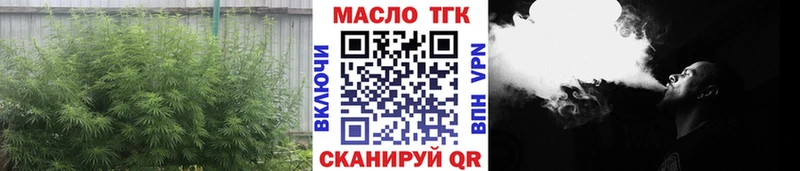 Купить где  Онега  ТГК Wax 